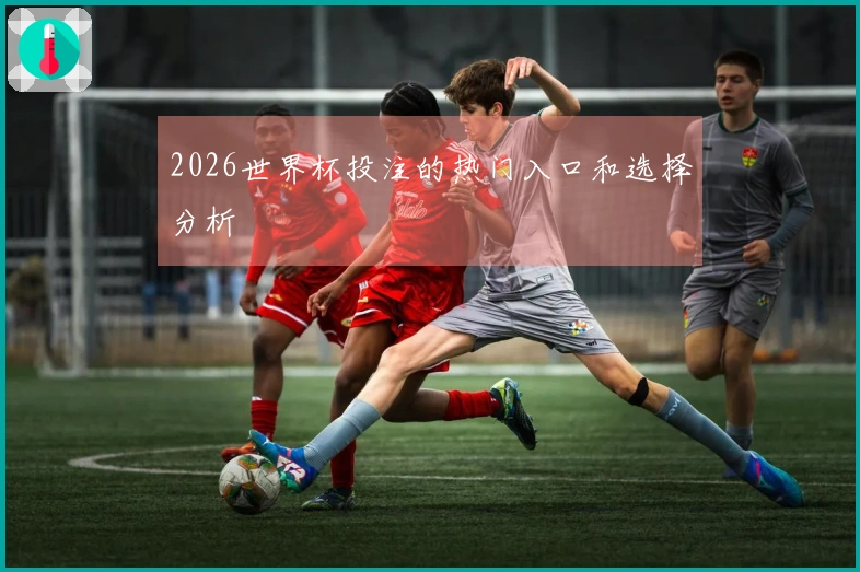 2026世界杯投注的热门入口和选择分析