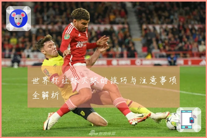 世界杯让球买球的技巧与注意事项全解析