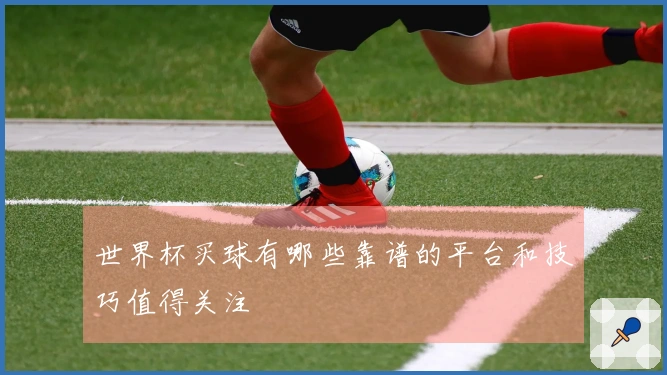 世界杯买球有哪些靠谱的平台和技巧值得关注