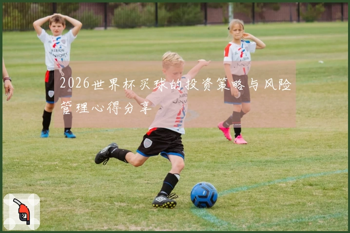 2026世界杯买球的投资策略与风险管理心得分享