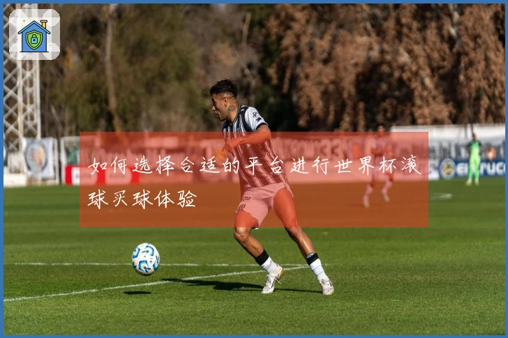 如何选择合适的平台进行世界杯滚球买球体验