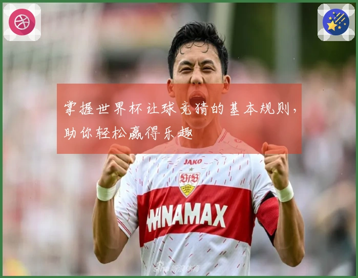 掌握世界杯让球竞猜的基本规则，助你轻松赢得乐趣