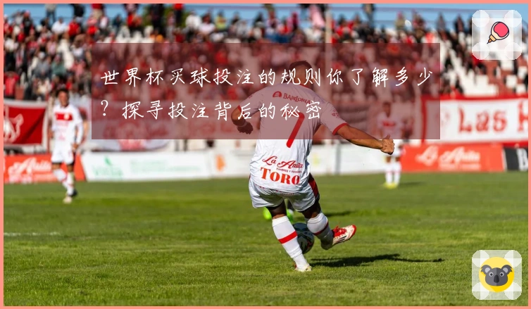 世界杯买球投注的规则你了解多少？探寻投注背后的秘密