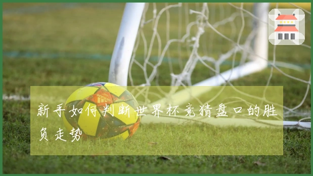 新手如何判断世界杯竞猜盘口的胜负走势