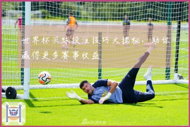 世界杯买球投注技巧大揭秘，助你赢得更多赛事收益
