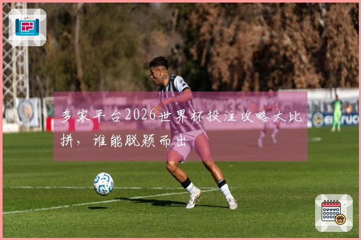 多家平台2026世界杯投注攻略大比拼，谁能脱颖而出