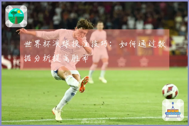 世界杯滚球投注技巧：如何通过数据分析提高胜率