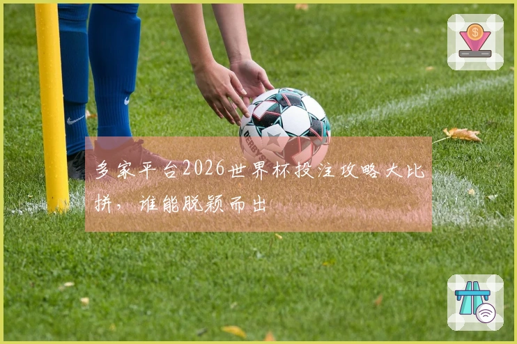 多家平台2026世界杯投注攻略大比拼，谁能脱颖而出