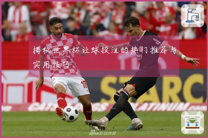 揭秘世界杯让球投注的热门推荐与实用技巧