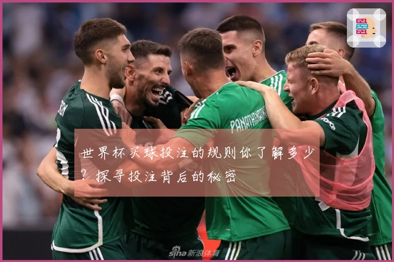 世界杯买球投注的规则你了解多少？探寻投注背后的秘密